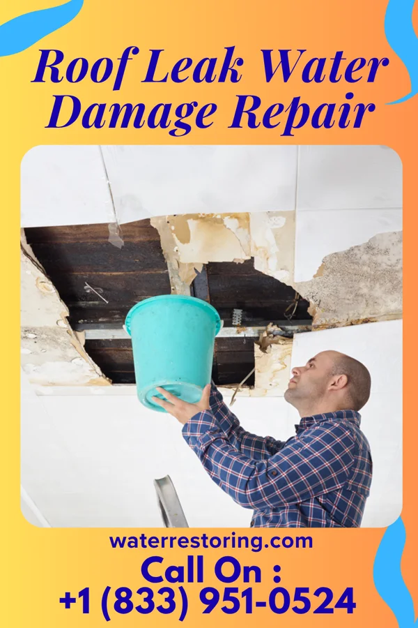 Roof Leak Water Damage Repair in Middleway, WV