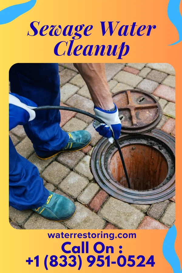 Sewage Water Cleanup in Middleway, WV